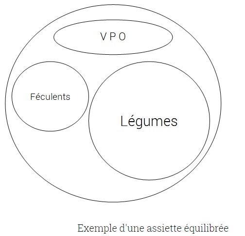 Example of a balanced plate of food according to the French cardiology federation