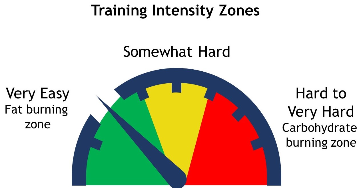 Training Intensity Zones