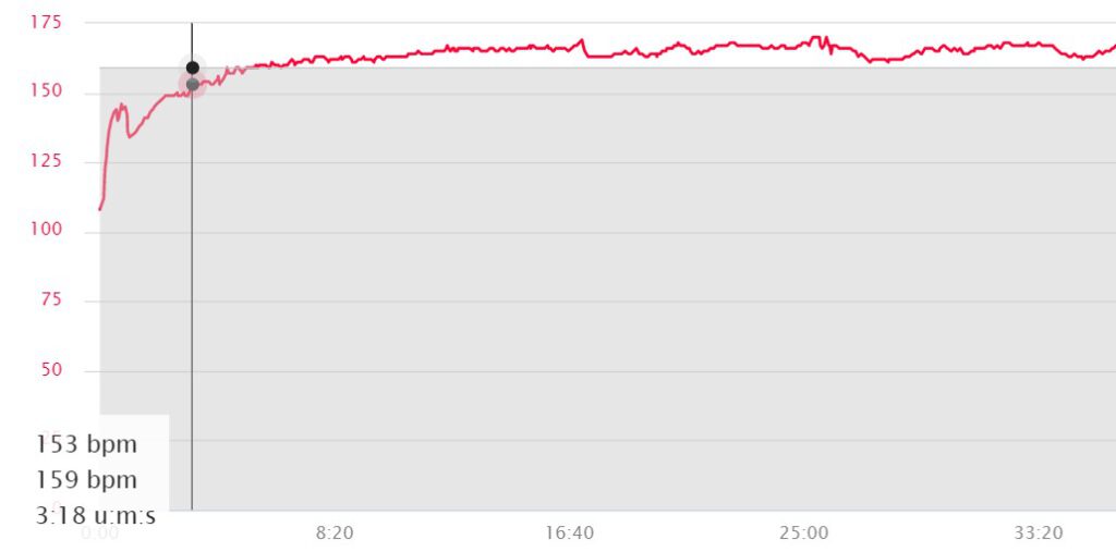 My hart rate during yesterday's 10 km