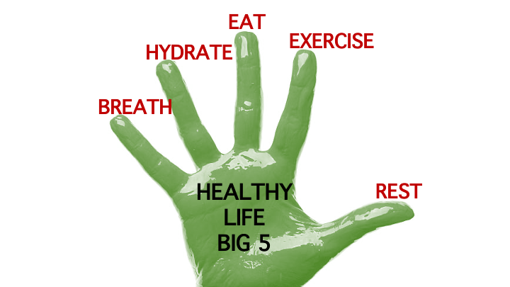 The Healthy Life Big Five